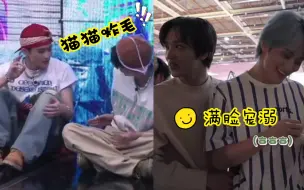 Download Video: 【markchan/马东/传】你小子还有两幅面孔呢？别太双标…