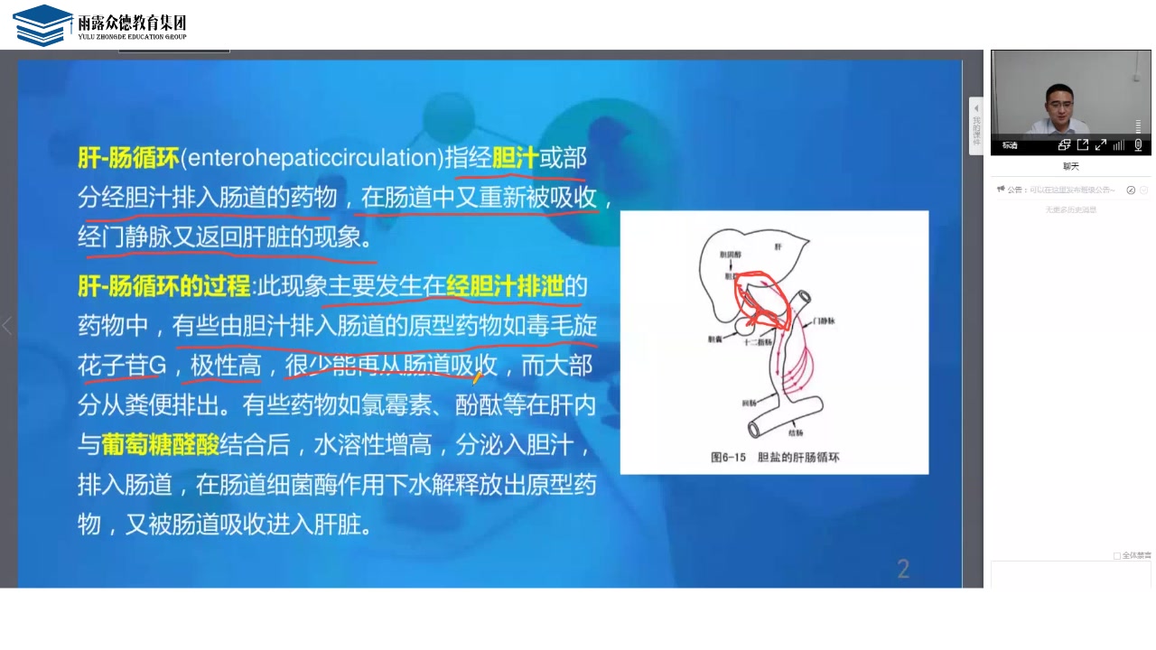 雨露众德——执业药师(西药)名词解释肝肠循环哔哩哔哩bilibili