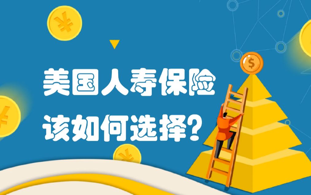 美国人寿保险该如何选择?哔哩哔哩bilibili