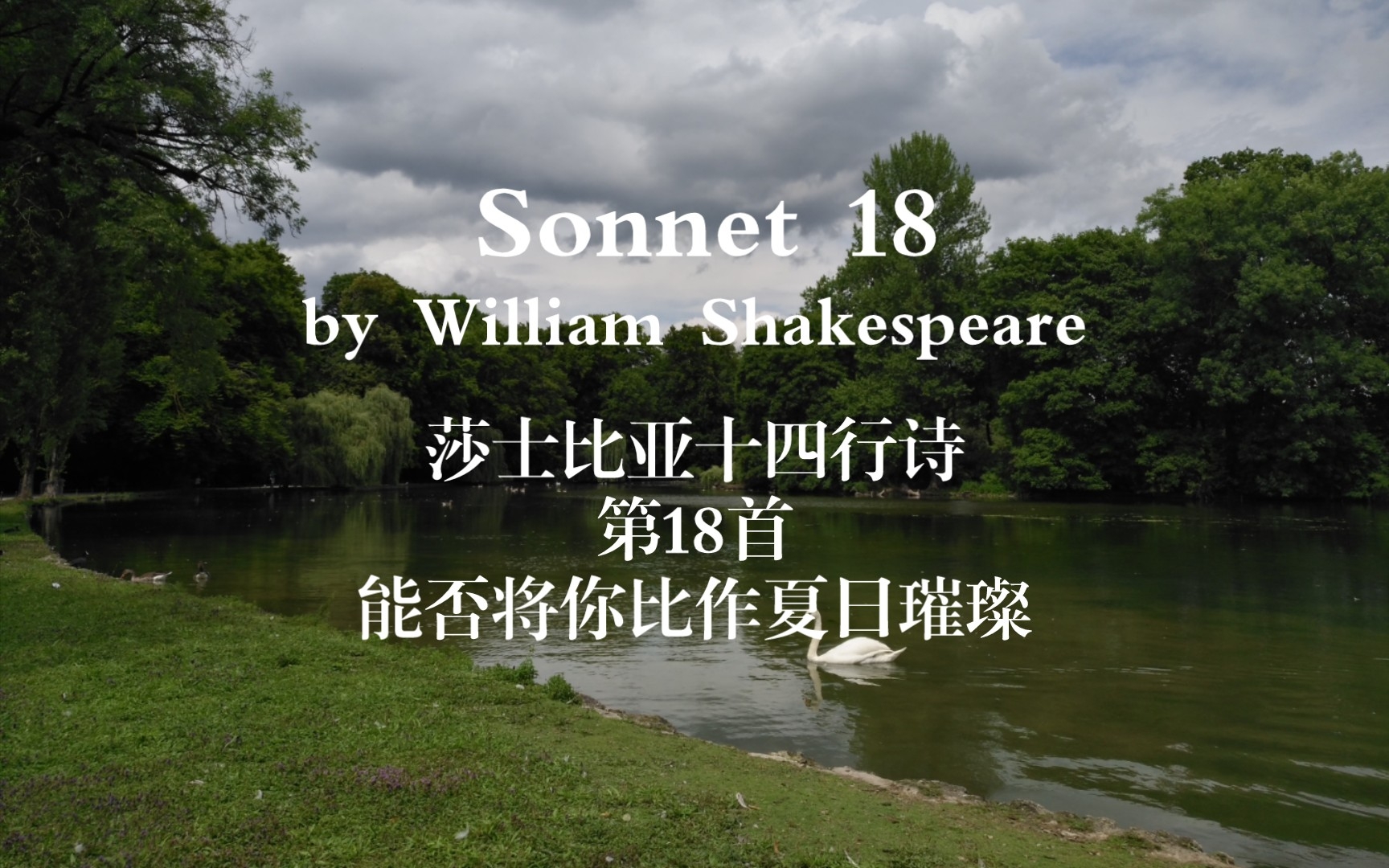 [图]英文诗歌朗读|莎士比亚Sonnet 18 能否将你比作夏日璀璨