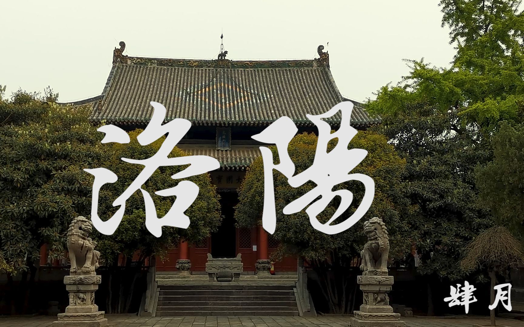 肆月洛阳洛阳印象古旧回忆向