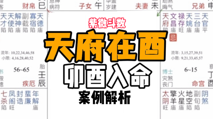 【紫微斗数实批看盘】天府在酉 卯酉入命案例解析哔哩哔哩bilibili