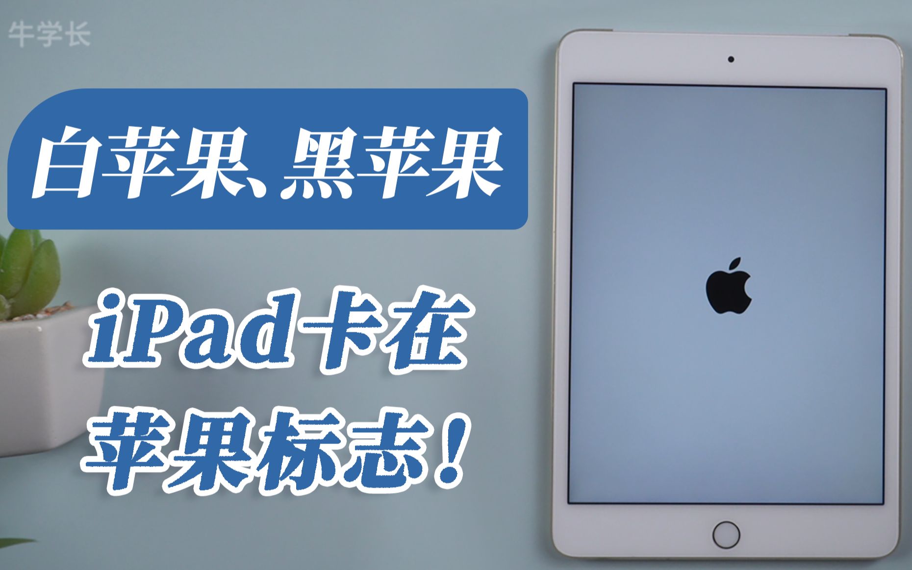 iPad开机处于黑苹果、白苹果Apple标志状态,如何修复同时保留数据?