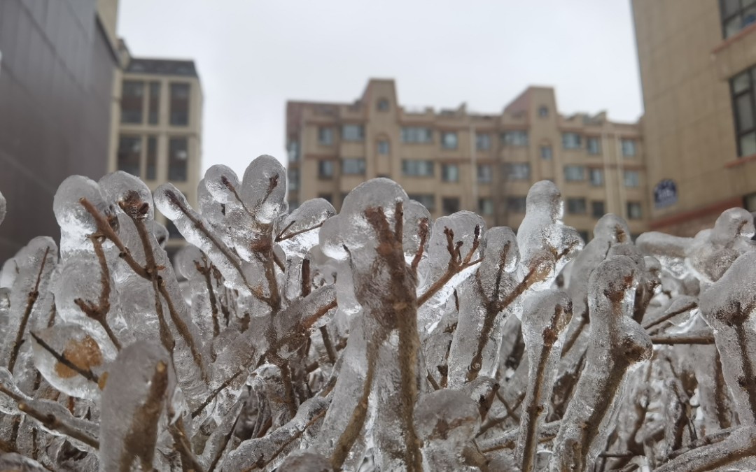 2020,长春的冻雨
