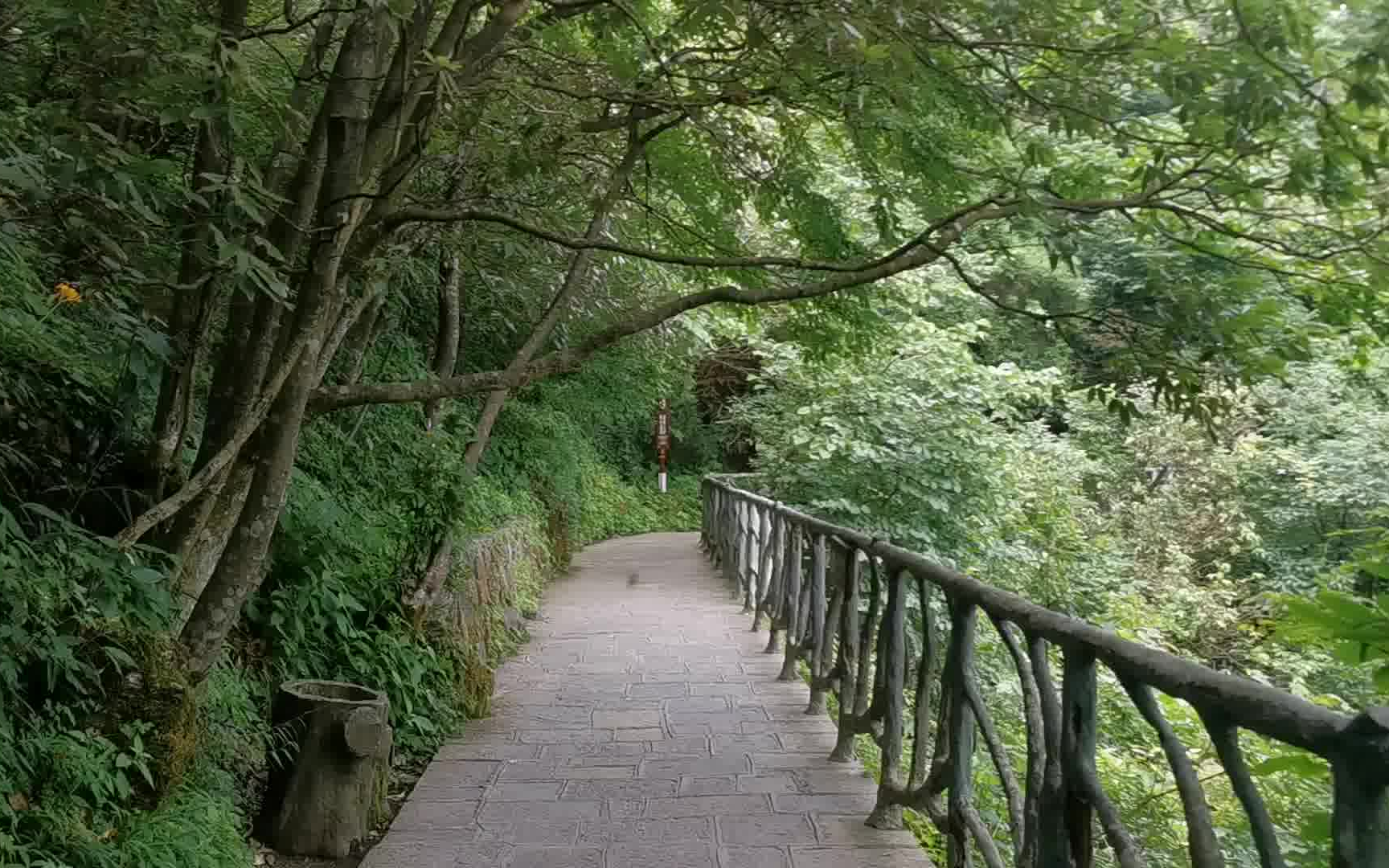 张家界【天门山风景区】超长时间视频拍摄(上中下三部曲之中部)(视频拍摄于2021713)哔哩哔哩bilibili