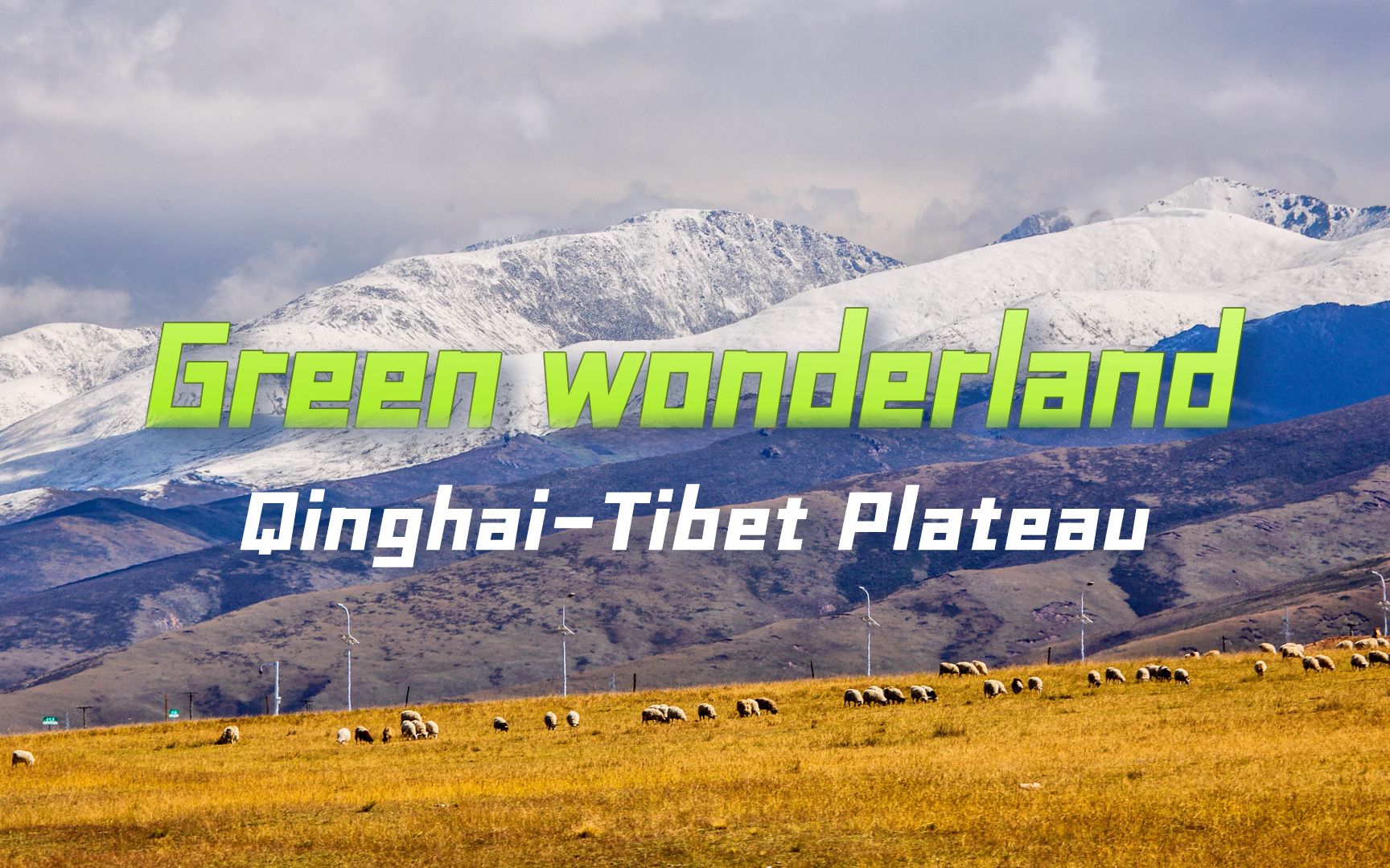 [图]青藏高原守护人的故事亮相COP27中国角 Protectors of Qinghai-Tibet Plateau featured at COP27