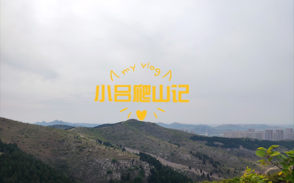 山师有座山,山上有座庙,庙里有个月老祠哔哩哔哩bilibili