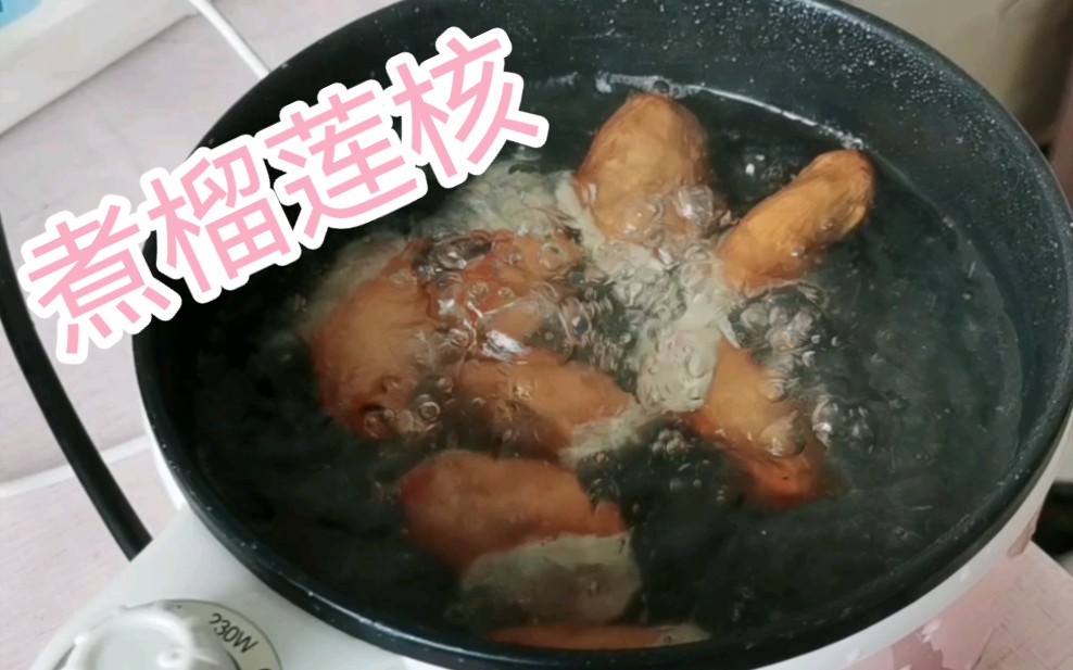 煮榴莲核哔哩哔哩bilibili