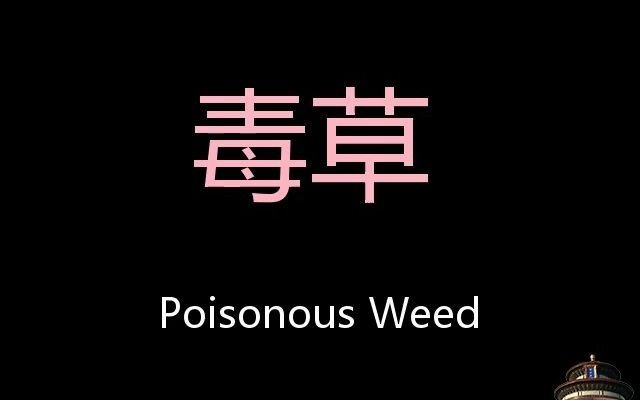 毒草 Chinese Pronunciation Poisonous weed哔哩哔哩bilibili