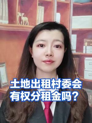 土地出租,村委会有权分租金吗?哔哩哔哩bilibili