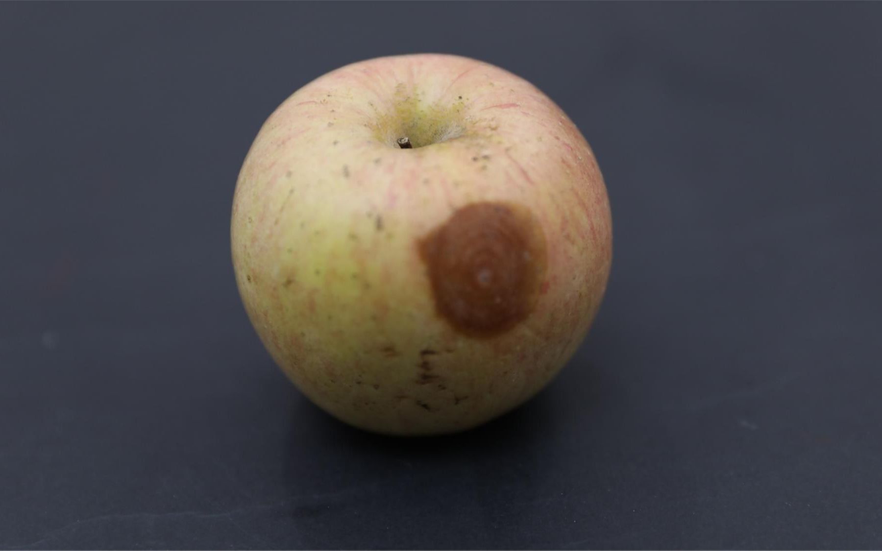 烂掉的苹果先别扔,越烂越"值钱",厉害用途有大用处,家家实用