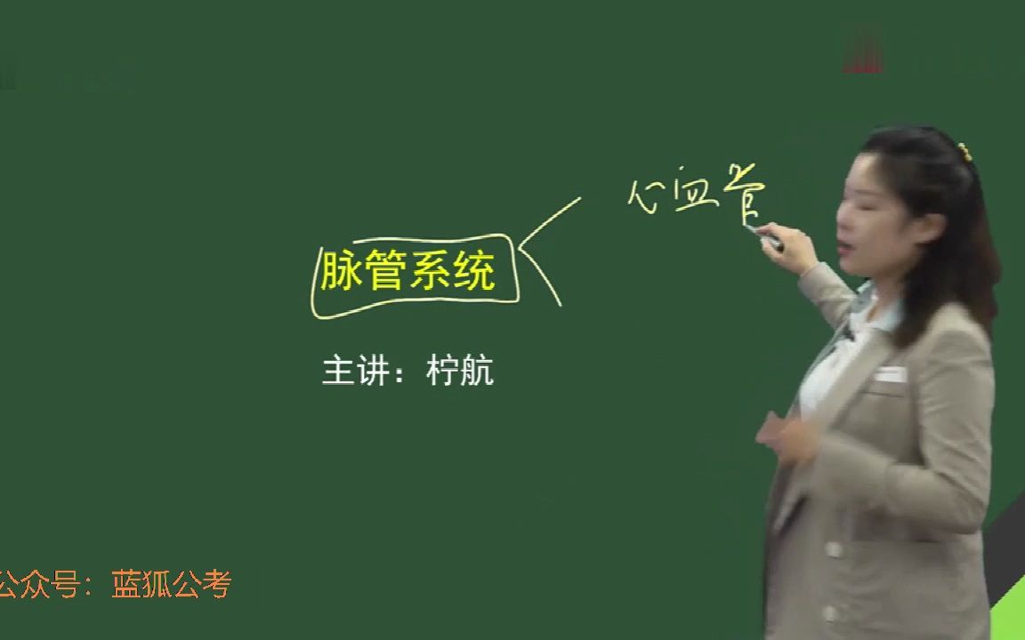 13.军队文职(医学类药学)医学基础模块解剖学脉管系统1哔哩哔哩bilibili