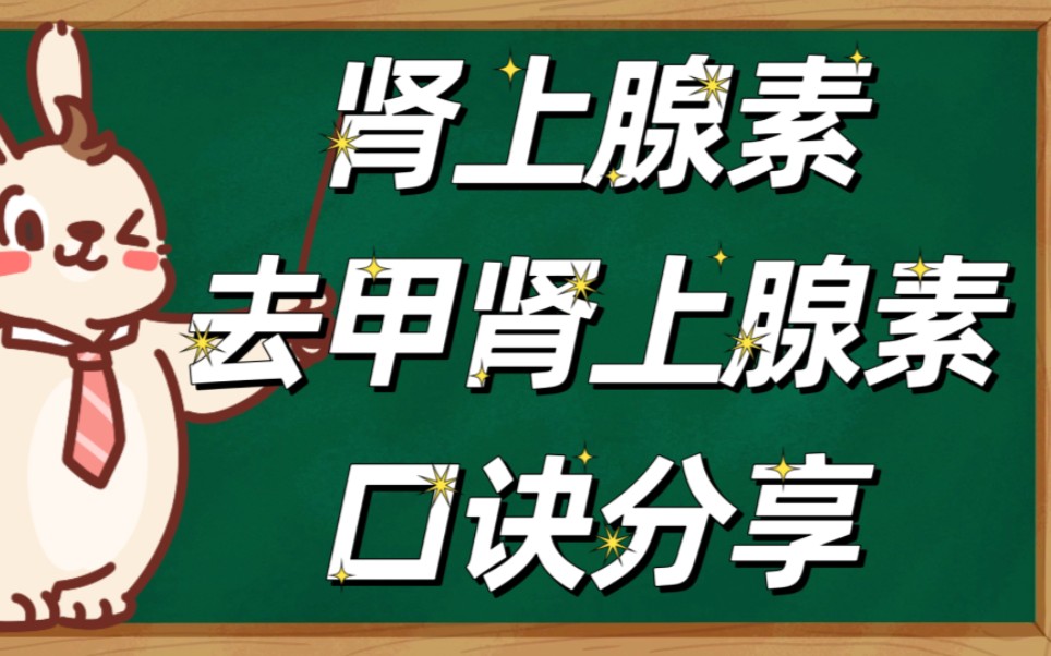 肾上腺素和去甲肾上腺素对于心肌和血管的对比哔哩哔哩bilibili