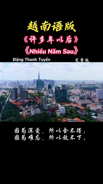 一首好听的越南语版《许多年以后》 《NhieuNam Sau》完整版.因为深爱,所以舍不得;因为难忘,所以放不下哔哩哔哩bilibili