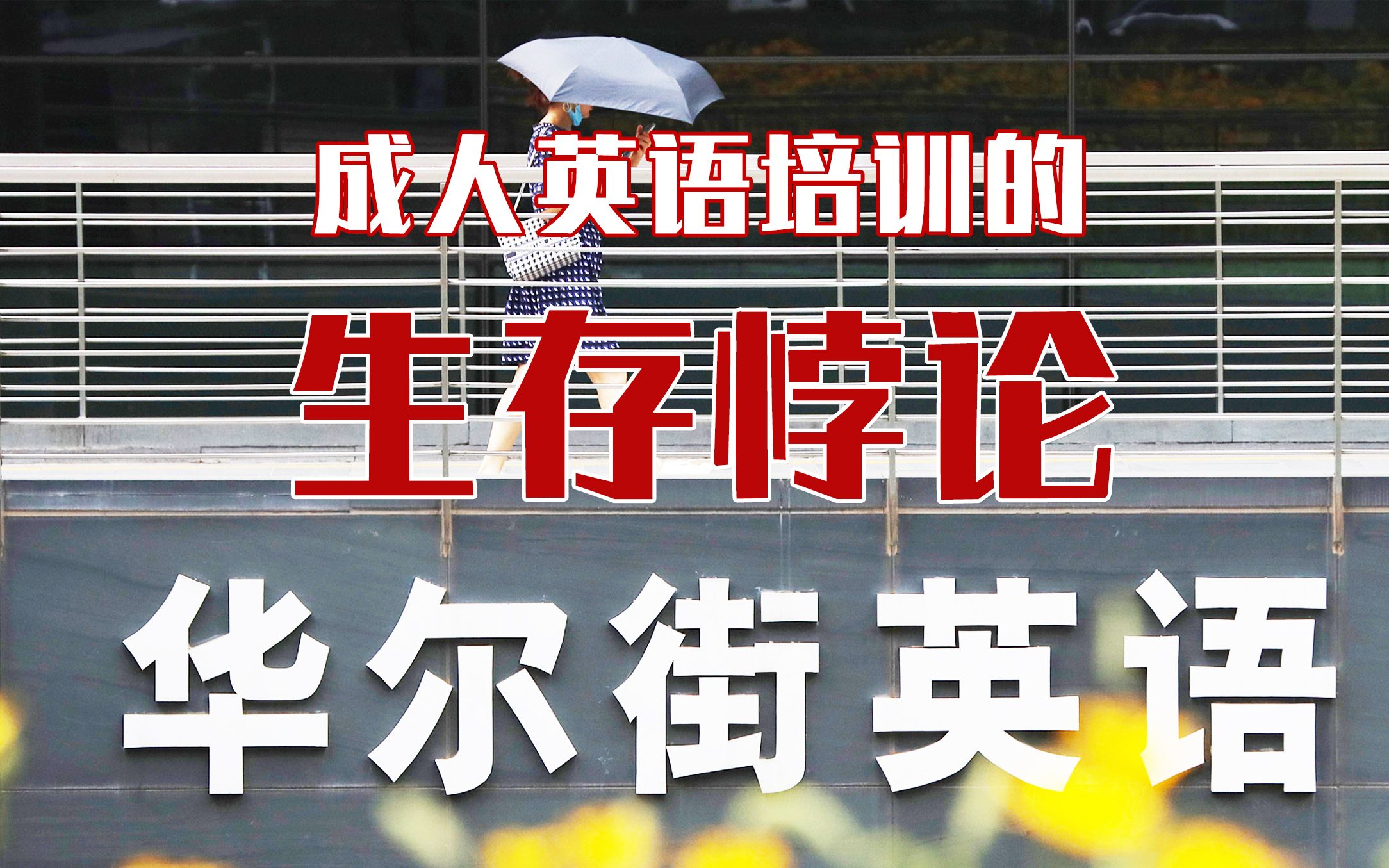 华尔街英语们的业障:国力提升后已无市场,靠歪招垂死挣扎哔哩哔哩bilibili