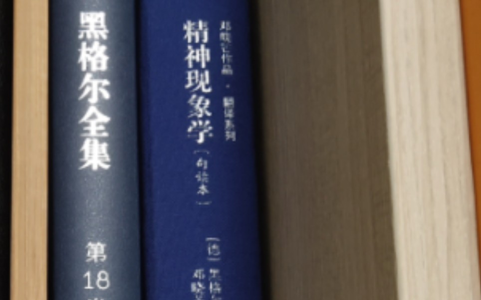 5本极其重量级的书及其好版本推荐.《尤利西斯》 《x经》 《克尔凯郭尔讲演集9》 《精神现象学》《黑格尔全集18》哔哩哔哩bilibili