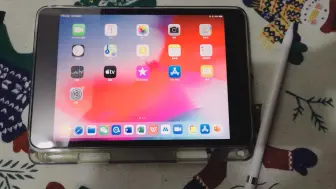 Download Video: ipad mini 5重度使用者分享