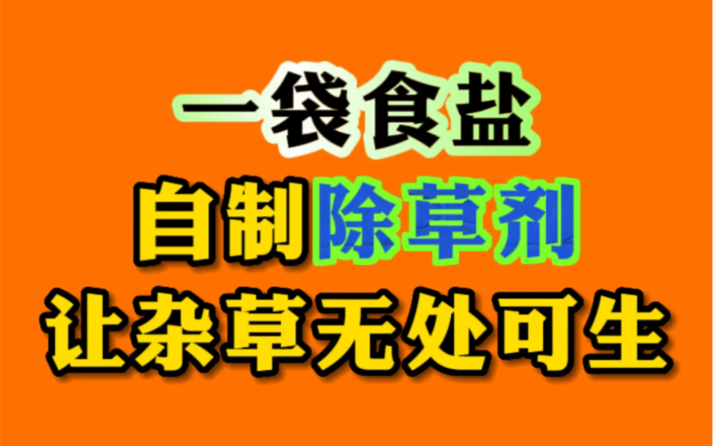 一袋食盐在家自制除草剂,让杂草无处可生!哔哩哔哩bilibili