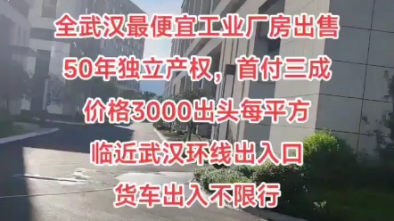 武汉便宜厂房,独栋钢构厂房、框架厂房3200元/㎡哔哩哔哩bilibili