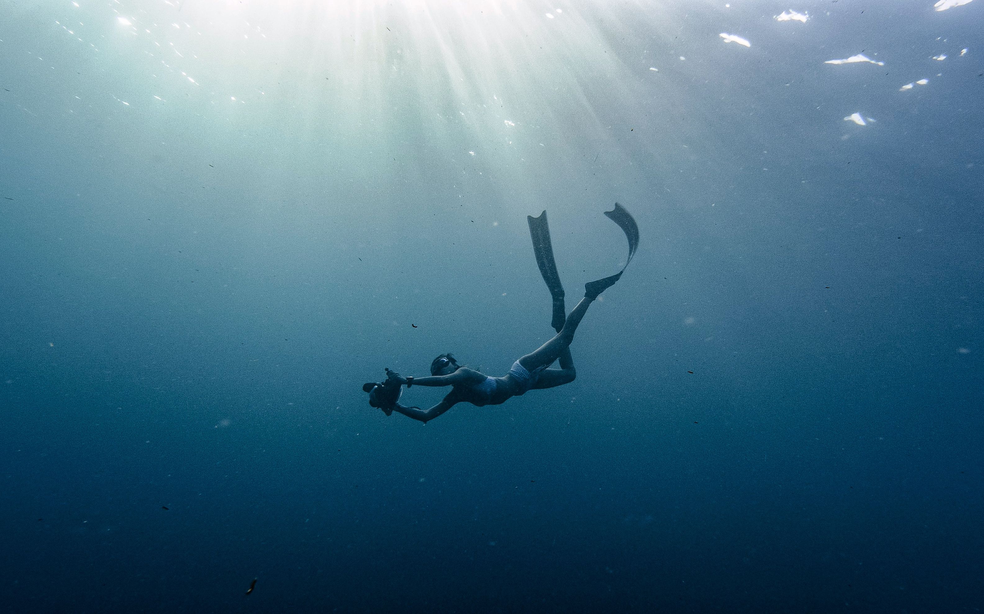 美女伴鲸鲨墨宝水下之旅