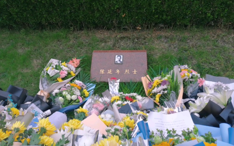 【记|龙华烈士陵园】"来给延年哥送鲜花啦!