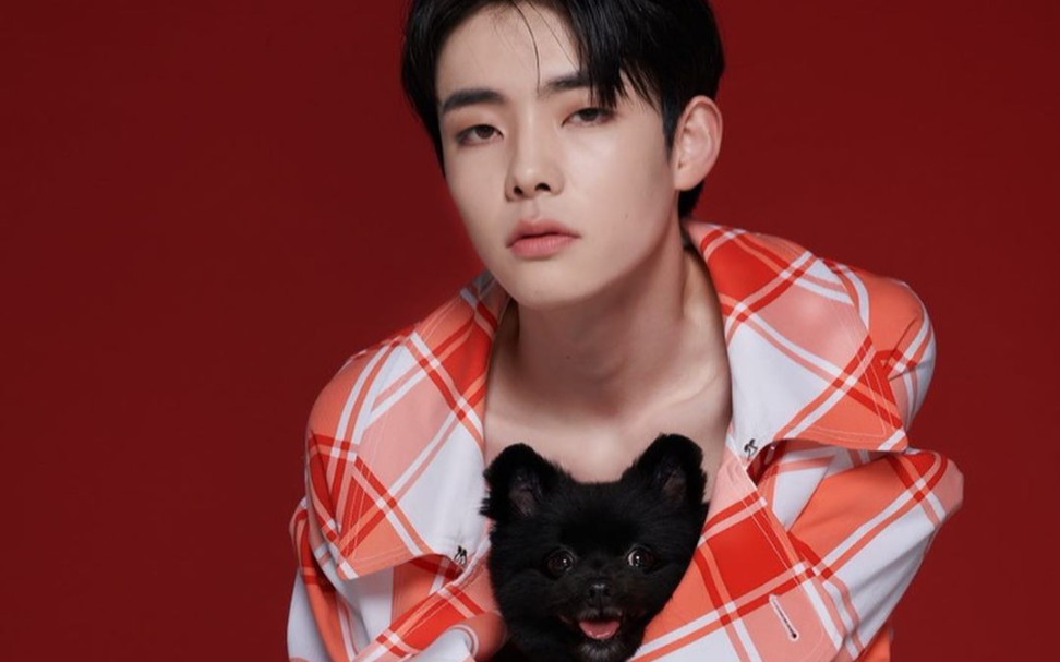 模特李恩洙李恩秀官方没给具体汉名我也不知道为流浪动物拍摄的公益