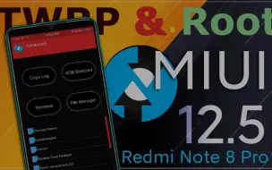 Download Video: 红米note8 pro（Redminote8 Pro）（安卓10/11）MIUI12连接电脑一键刷入第三方rec twrp并刷入面具Magisk获取root