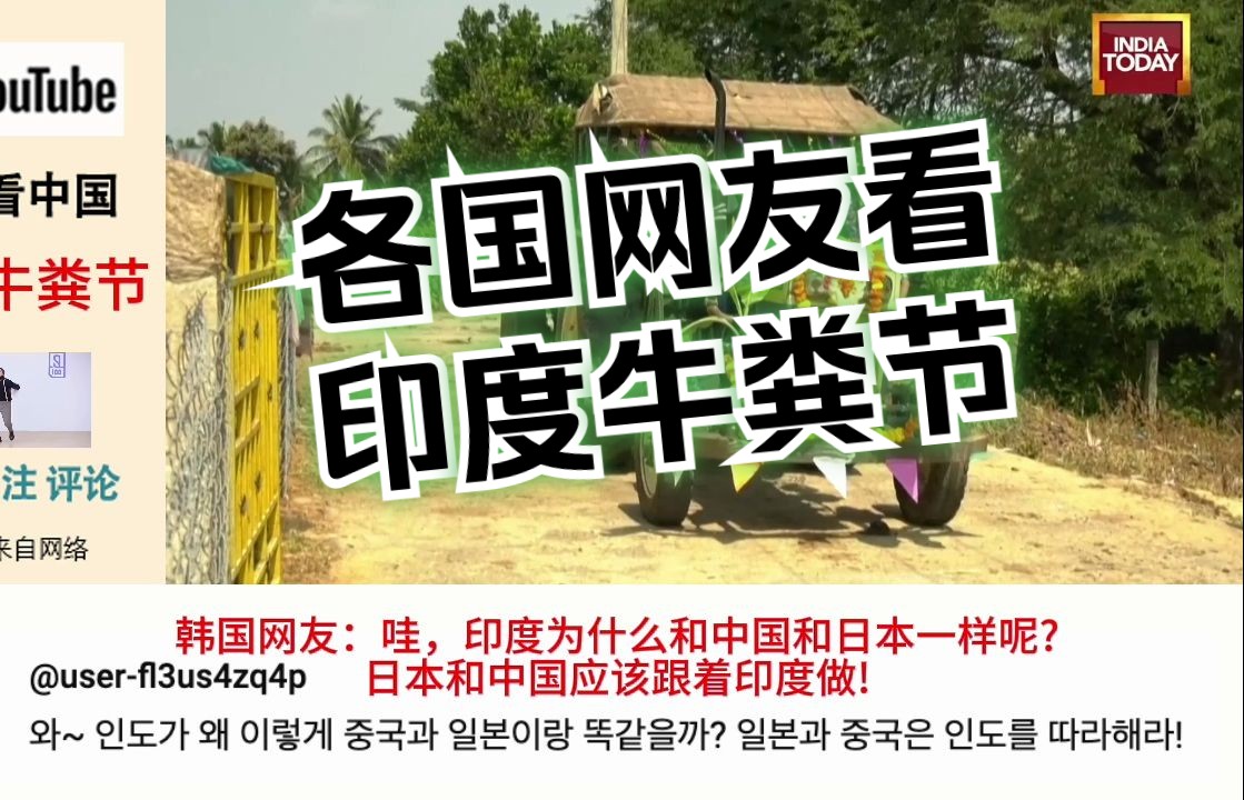 精选油管各国网友看印度牛粪节!