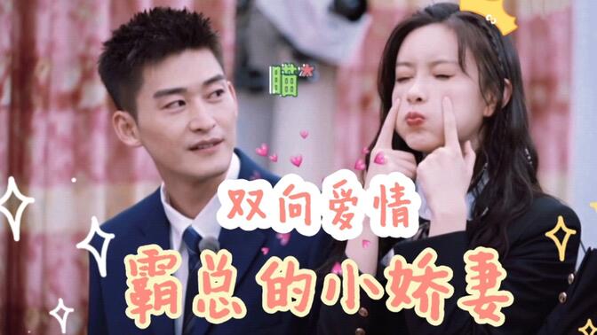 张翰x孟子义 | 翰在义起 | 只对你有感觉 | 霸道总裁和他的娇气小