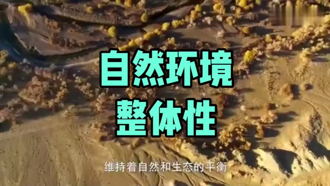 自然环境的整体性