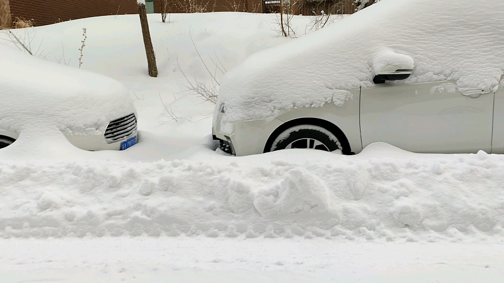 [图]新疆乌鲁木齐雪中漫步 p3