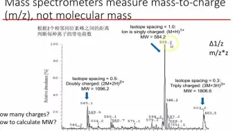 从质谱图推断肽段分子量[蛋白质组学合集]
