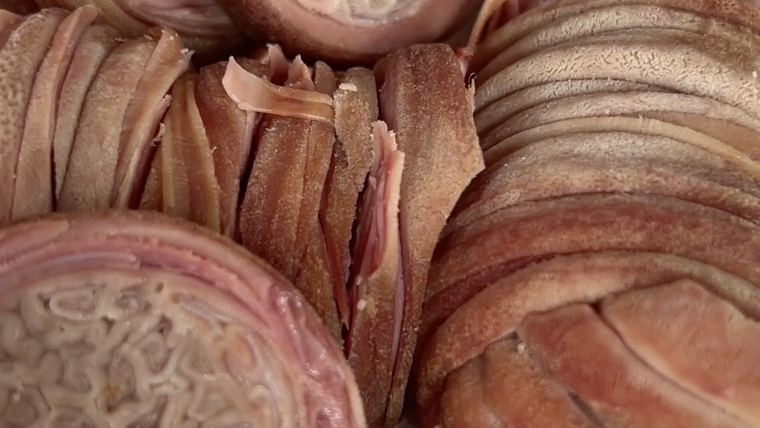 百年老店贞波苦肠_哔哩哔哩_bilibili