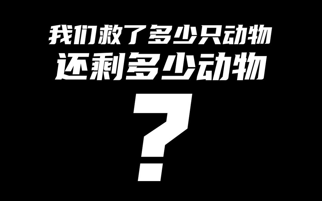 【老疯杨】老疯杨这些年救了多少动物?哔哩哔哩bilibili