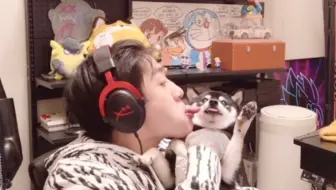【谢天宇icon】想舔全世界坠可爱的柴犬也是人之常情~