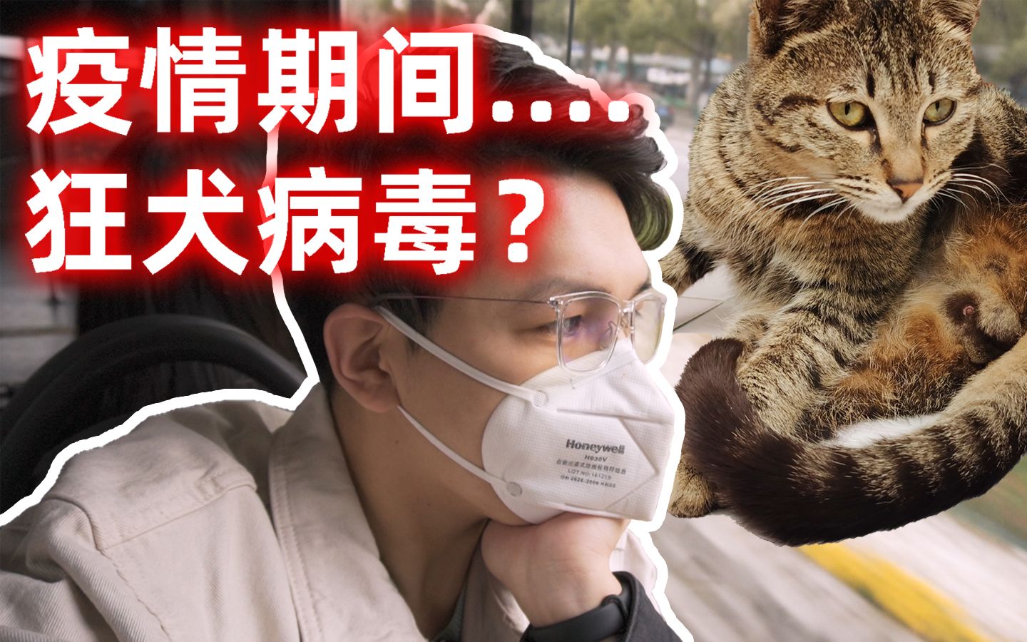 疫情期間,我偏偏遭遇了致死率100%的狂犬病毒!去過醫院後我想說