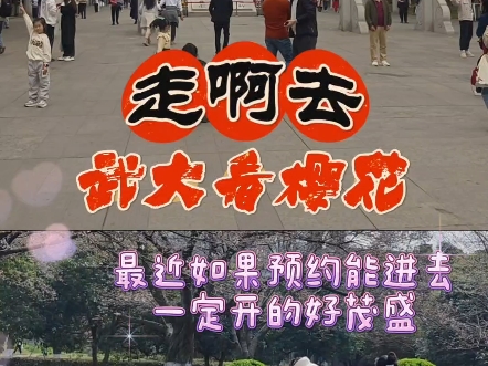 走啊,带我去看樱花. 选择地,武汉大学,关注历史.#湖北亮仔#武汉旅游攻略 #武汉樱花 #武汉大学 #浪漫樱花哔哩哔哩bilibili