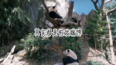 什么叫做强势夺爱哔哩哔哩bilibili