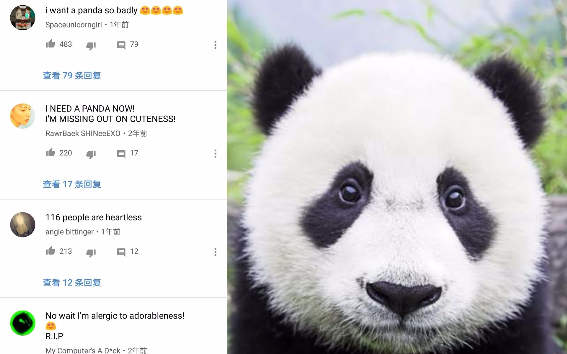 中字来着国外的重度熊猫痴迷症患者youtube评论