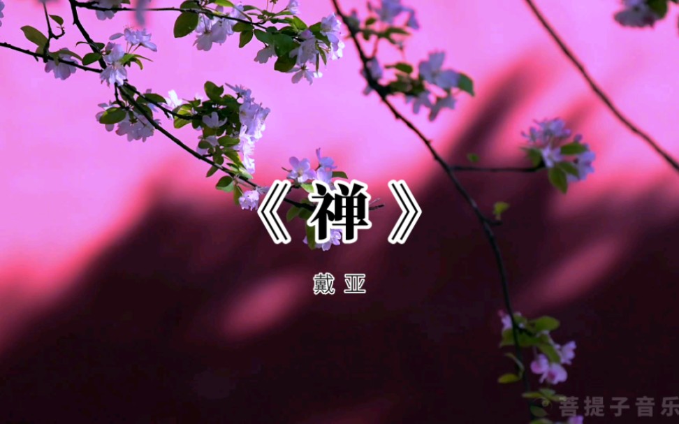 念由心生,境随心转.一曲养心纯乐《禅》分享给同频之人哔哩哔哩bilibili