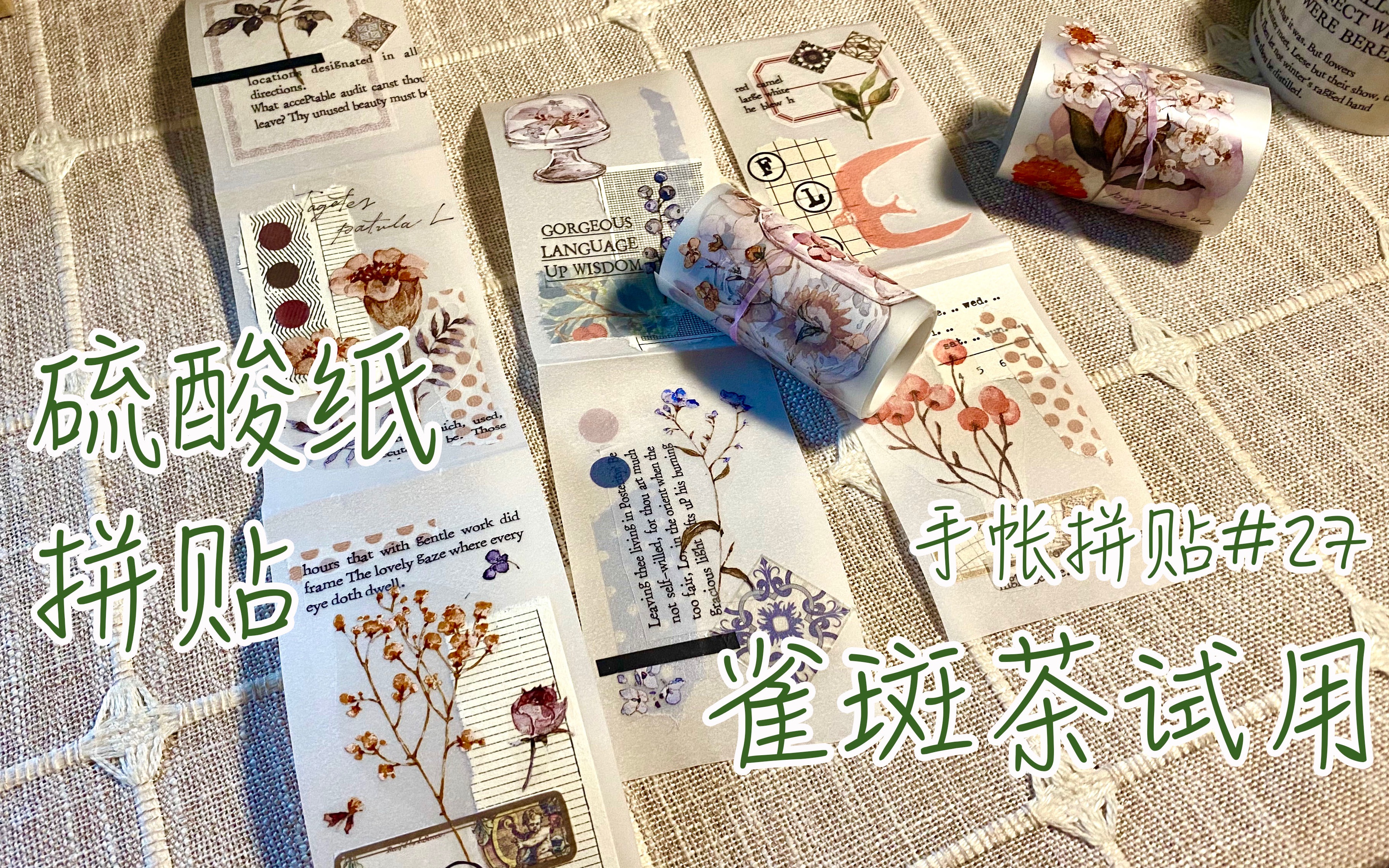 【小怪兽】手帐#27 雀斑茶试用!/拼贴背胶硫酸纸!/花草拼贴//轻复古/教程哔哩哔哩bilibili