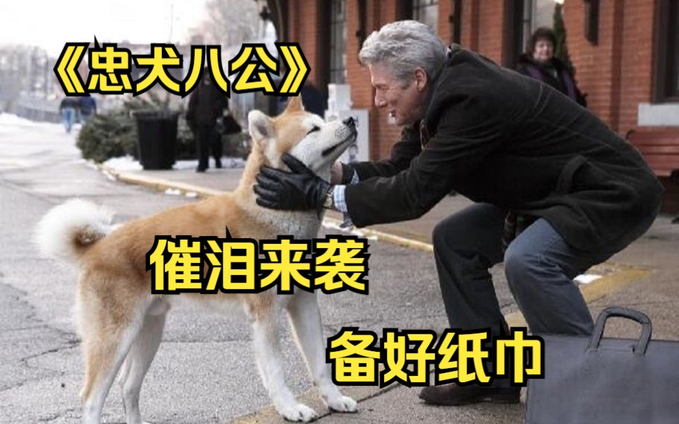 [图]【忠犬八公】主人意外去世，狗狗原地等候10年，根据真实事件改编！