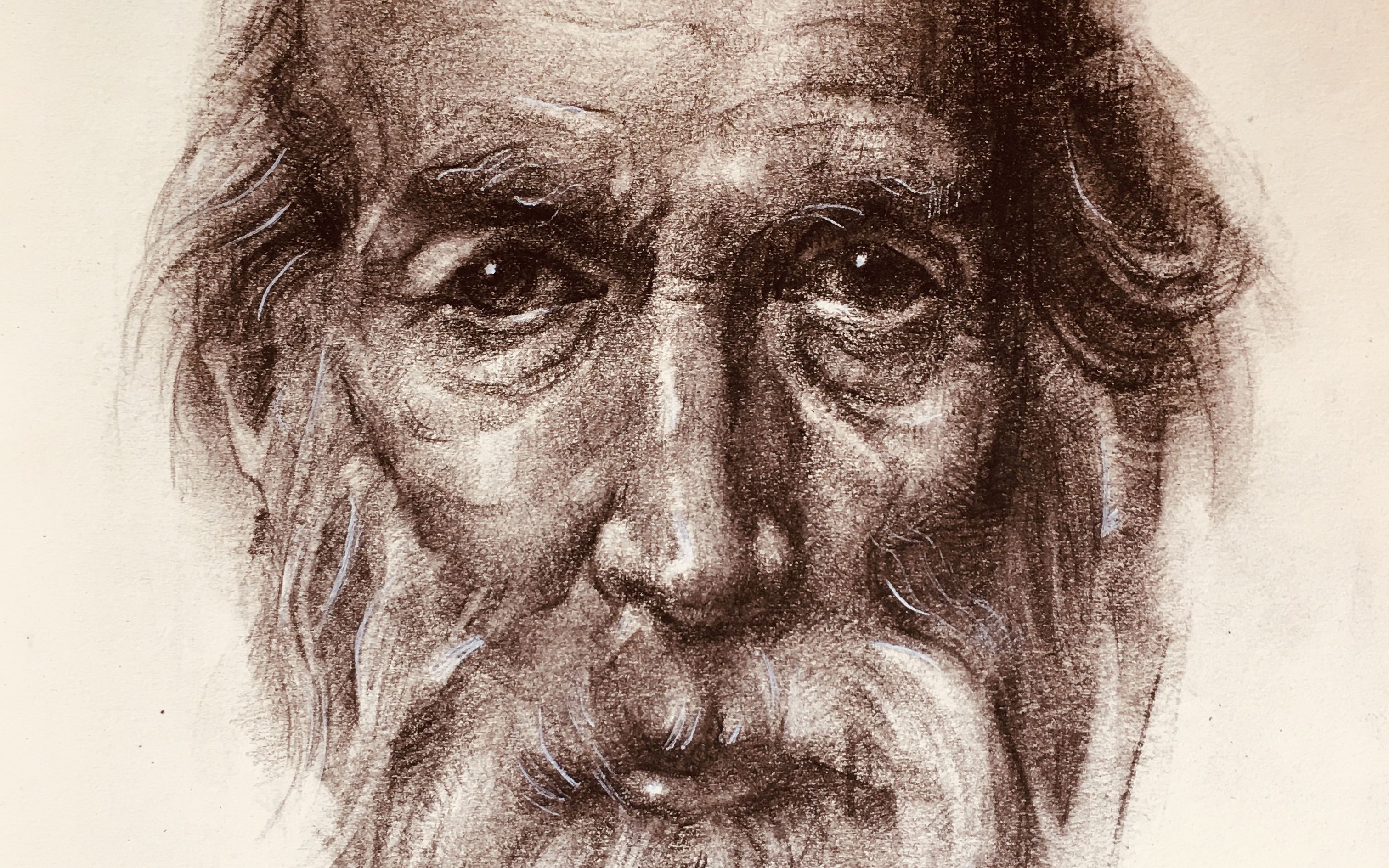 分析大师素描肖像_18