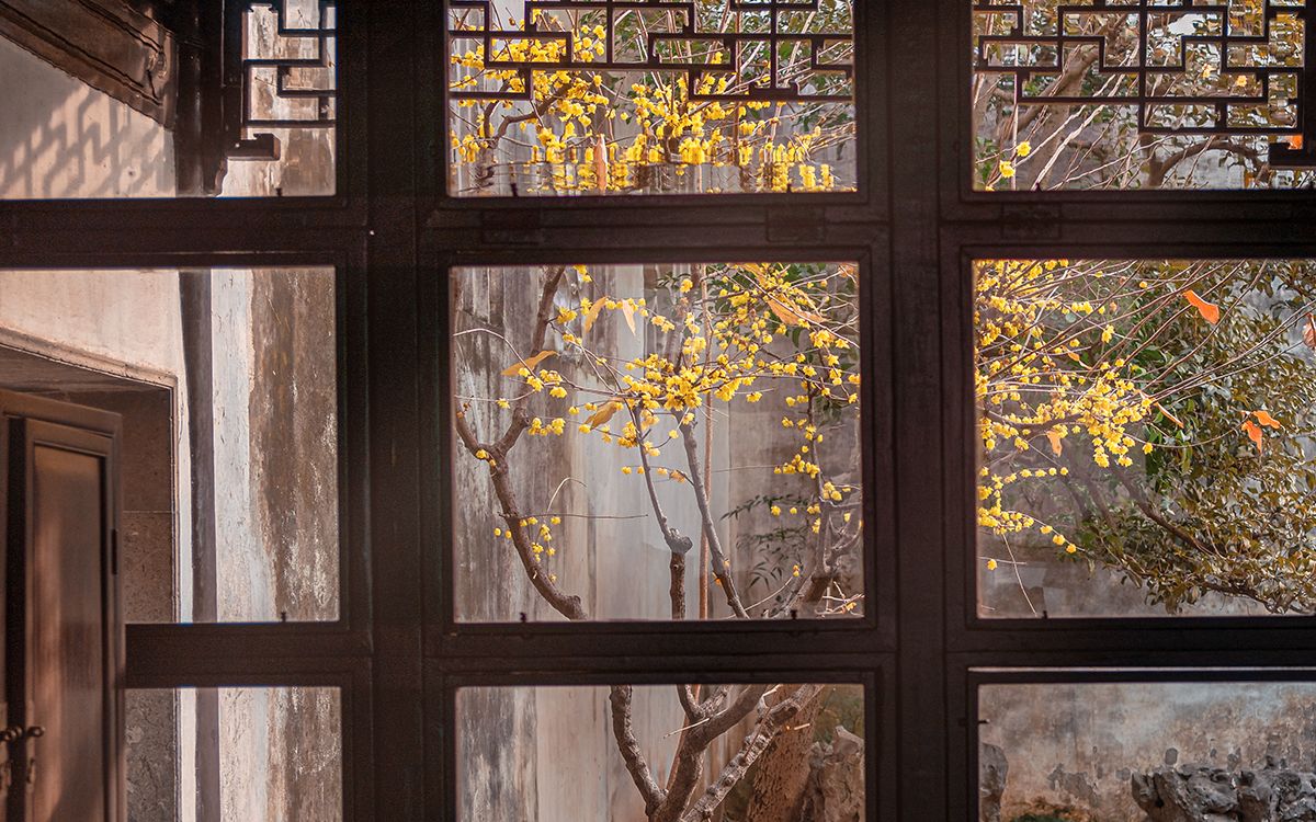 [图]诗词里的风景 | 在苏州园林里，雨中赏花，踏雪寻梅