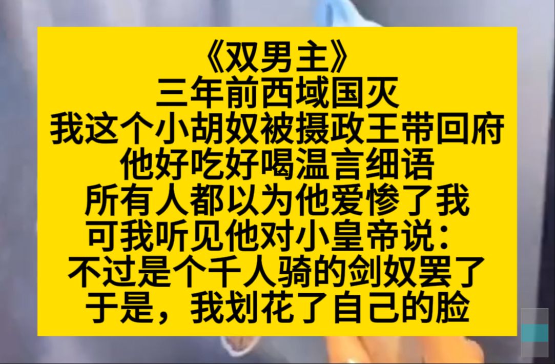 双男主 三年前国灭,我这个小胡奴被摄政王带回府,刚对我很好,所有人都以为他爱惨了我……小说推荐哔哩哔哩bilibili