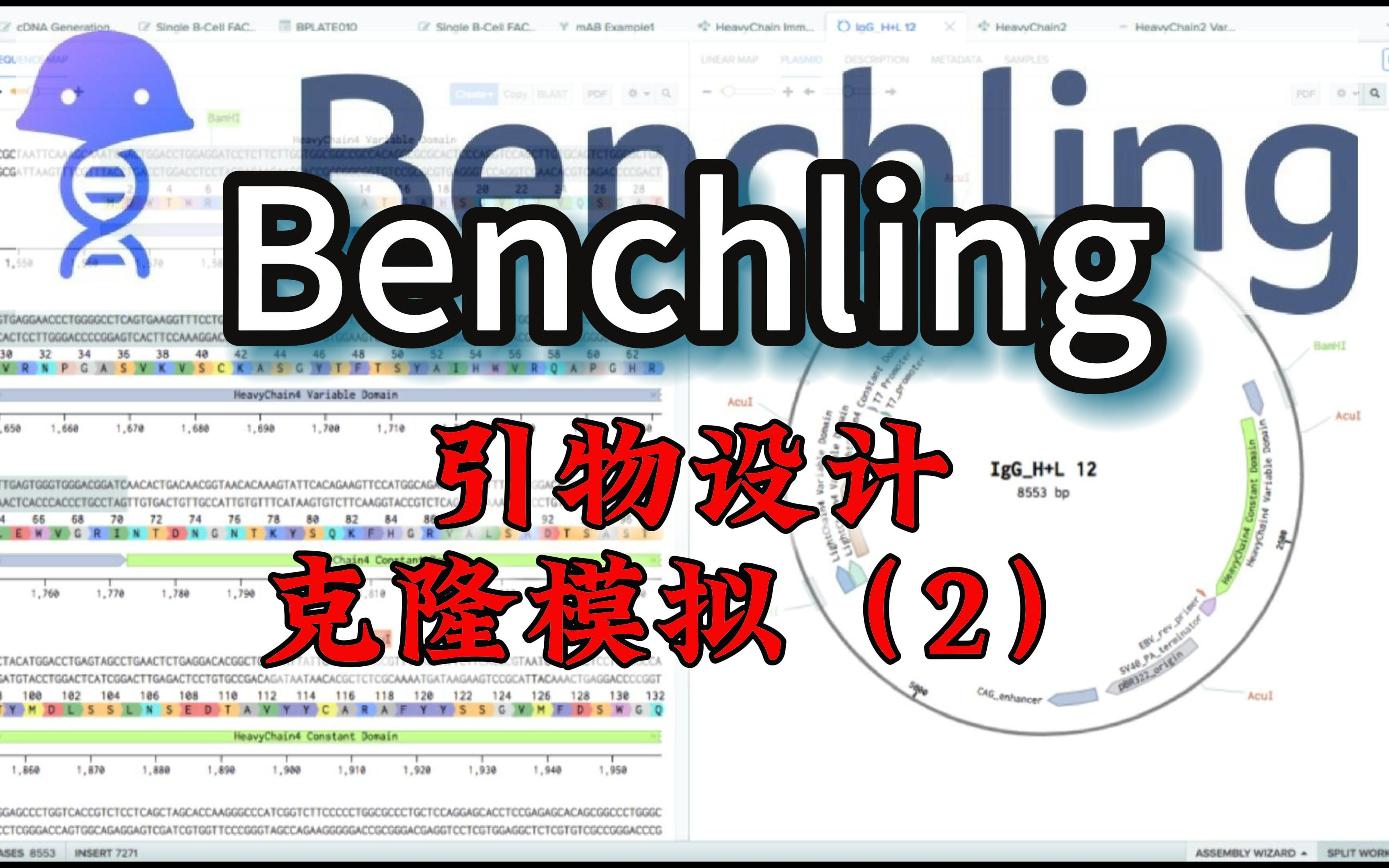 如何使用Benchling在线进行引物设计和克隆模拟(2)哔哩哔哩bilibili