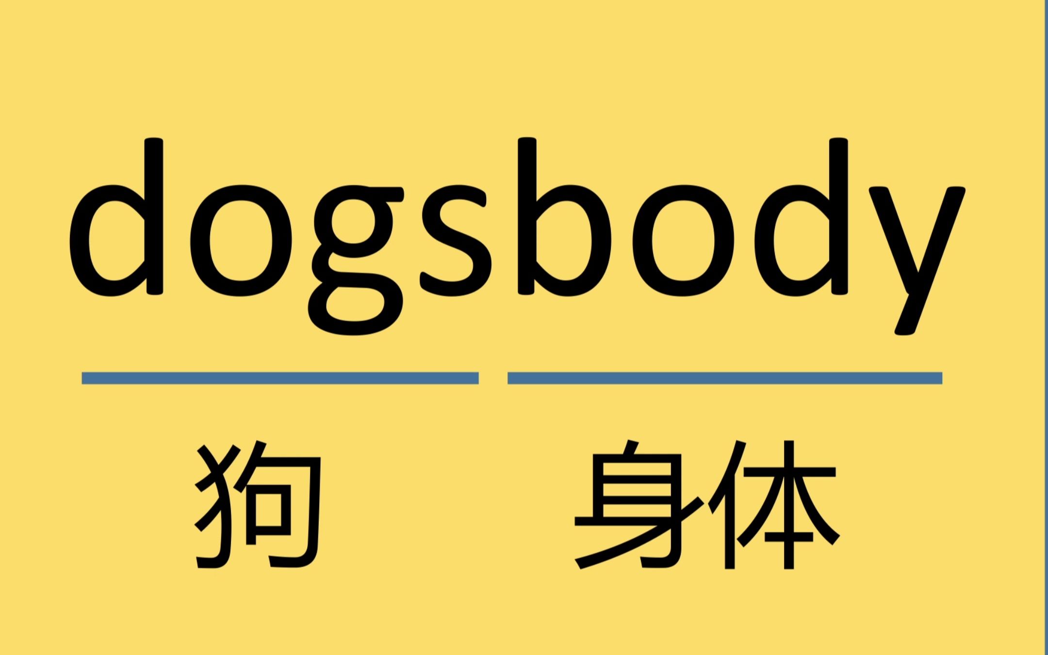 每日记单词dogsbody哔哩哔哩bilibili