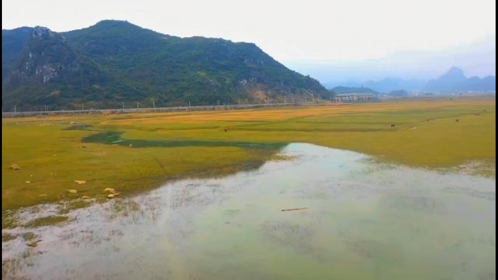 [图]青山绿水飞白鹭