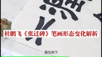 Download Video: 杜鹏飞《张迁碑》笔画形态变化解析