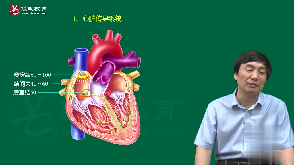 [图]【B站最新合集】2023考研西综 贺银成内科学基础精讲完整版